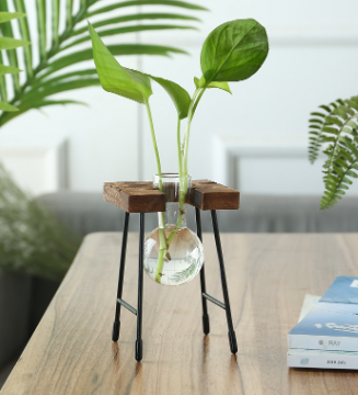 Glass Propagation Vase