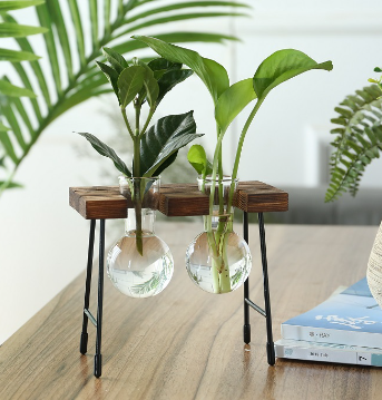 Glass Propagation Vase