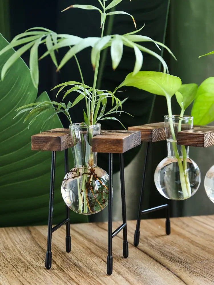 Glass Propagation Vase