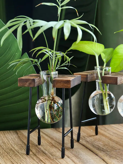Glass Propagation Vase