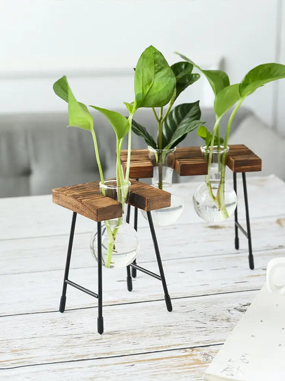 Glass Propagation Vase